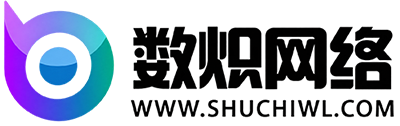 数炽网络